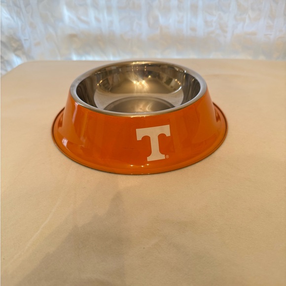 Orange Dog Bowl with Silver Interior - Picture 3 of 6